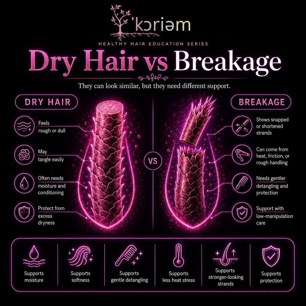 Koriem Healthy Hair Education guide comparing dry hair with breakage